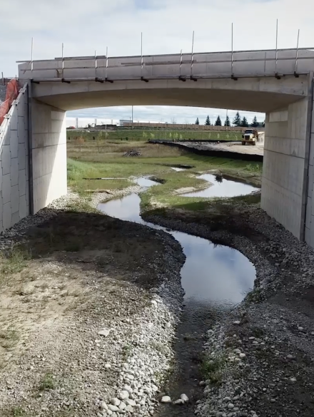 Screenshot 2024-12-31 at 3.39.40 PM